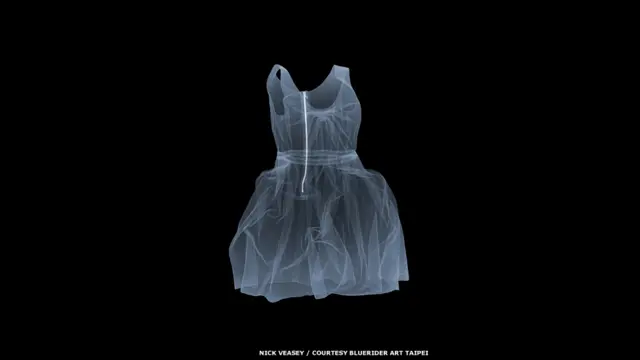 نېک ویسي د ګڼو او بېلا بېلو څیزونو لکه ګاډو، وسلو، ګلونو او بوټانو انځورونه اخیستي دي. (لنوین ډریس، ۲۰۱۱، له بلورایډر ارټ څخه په مننې، تایپي).