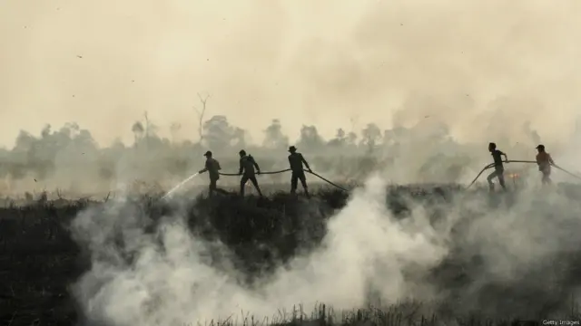 Kebakaran di Ogan Ilir