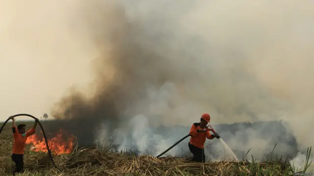 Namun hingga kini belum ada langkah-langkah paling efektif yang dapat menghentikan kebakaran hutan. Perusahaan-perusahaan perkebunan dituding berada di balik peristiwa tahunan itu.