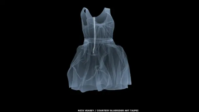 Nick Veasey, Lanvin Dress, 2011. Courtesy of Bluerider ART, Taipei