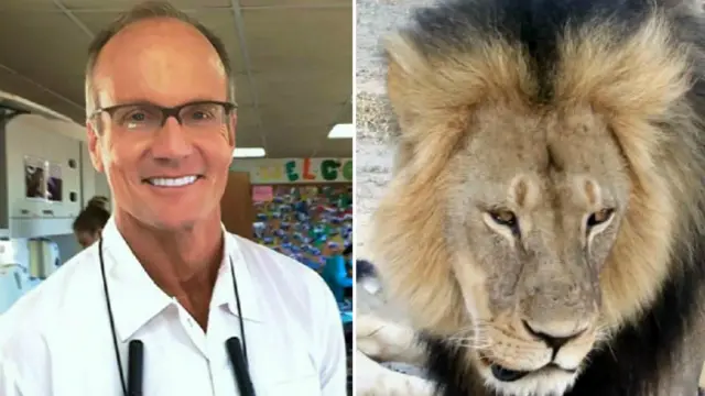 Лев Сесіл і Волтер Палмер