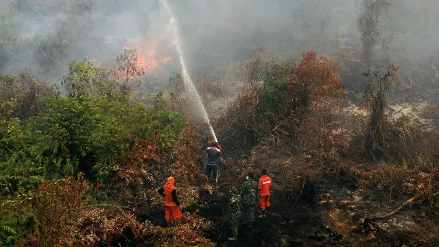 Selama ini, pembekuan atau pencabutan izin perusahaan yang terindikasi membakar hutan atau lahan harus menunggu proses pengadilan