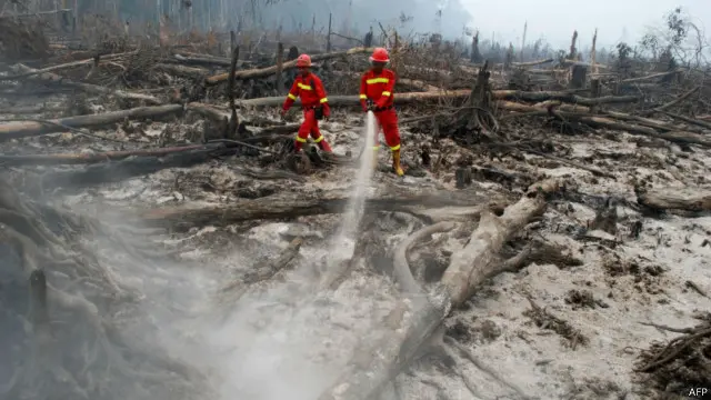 Kebakaran hutan terjadi Giam Siak Kecil, Provinsi Riau, September 2015 lalu.
