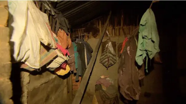 ٹاٹا نے بی بی سی کو بتایا کہ وہ اپنے باغات میں ’کئی معاشرتی سطح کے سنگین مسائل‘ کے حل کے لیے کام کر رہے ہیں