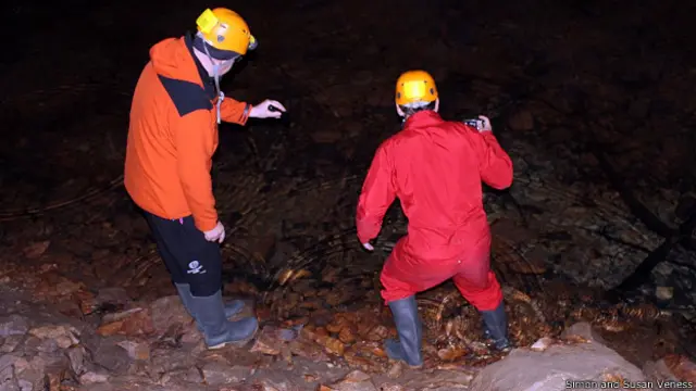 В поисках "человечьей рыбки" в водах карстового подземелья