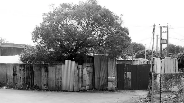 难民只能居住在新界北区遍远的地方，住所是在猪栏、农地和鸡场暂时搭建的铁皮屋或寮屋，环境恶劣