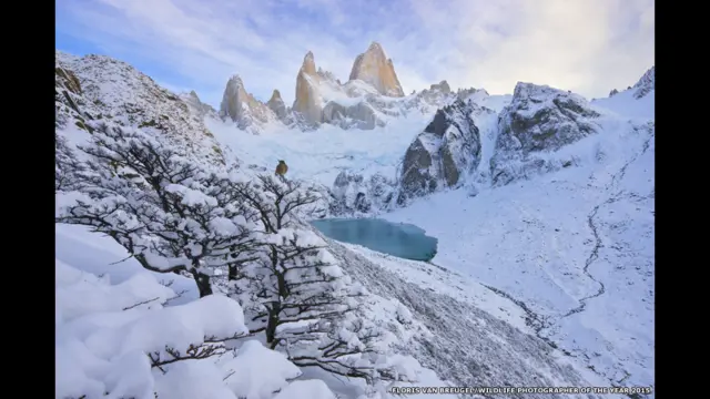 في فئة الأرض، صور فلوريس فان بروغل في محمية لوس غلاشياريس بالارجنتين هذا الطائر. 