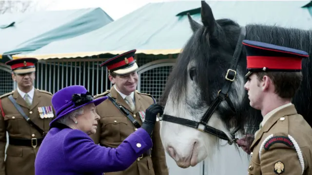 Королева и лошадь