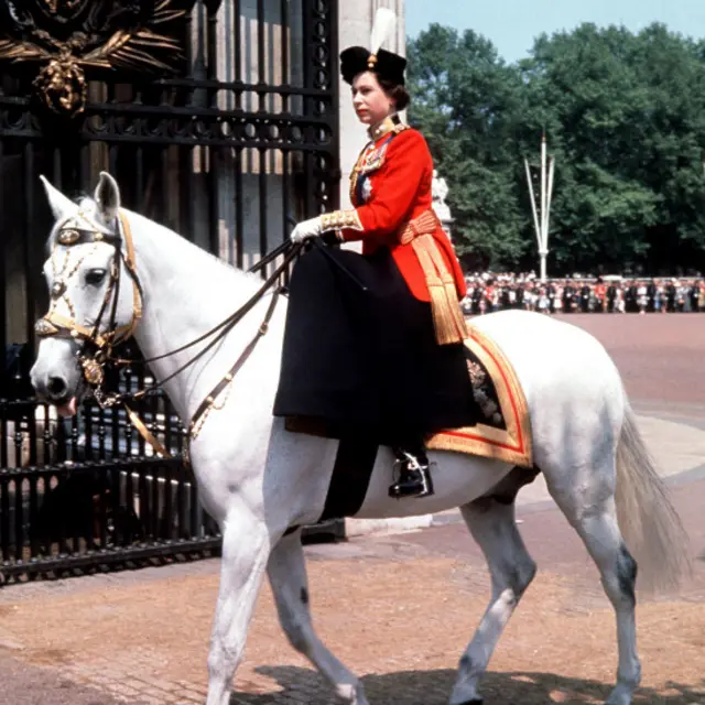 Белая лошадь и королева