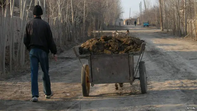 Ўзбекча тараққиёт йўли борасида фикрлар ҳар хил...