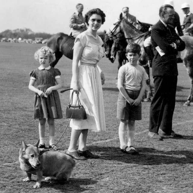 Корги и семья