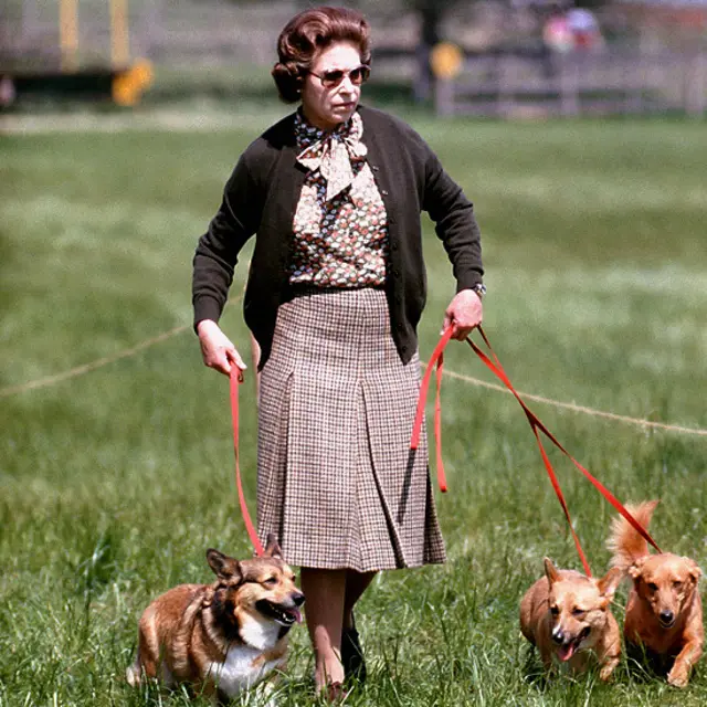 Елизавета и псы