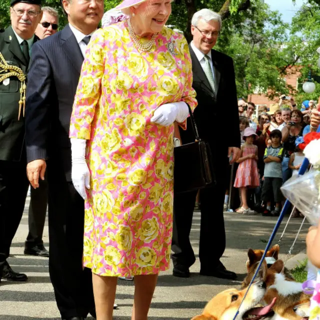 Корги в Канаде