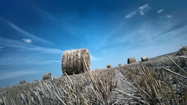 Семен Печенко