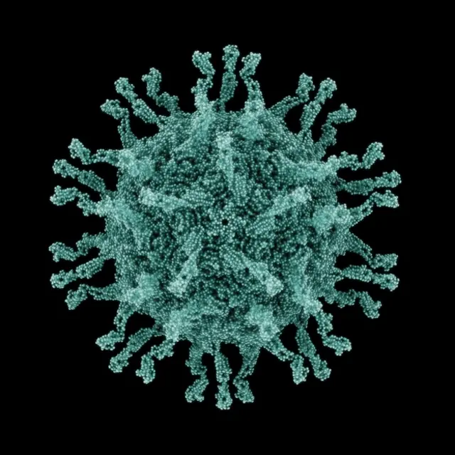 Вірус поліомієліту