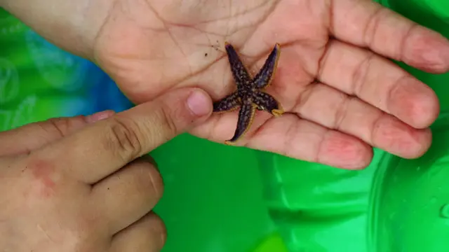 Алексей Чичилин