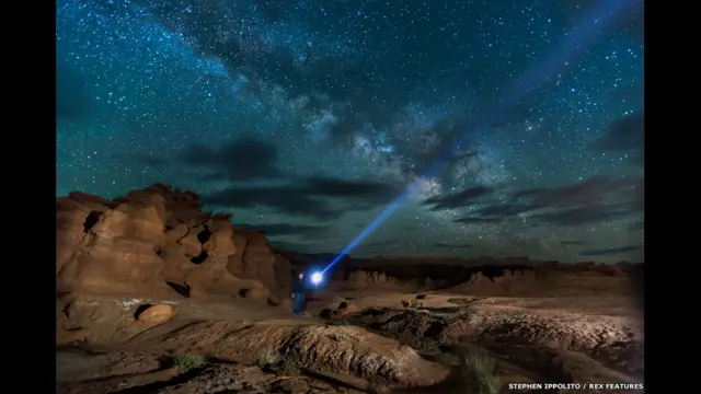 Заповедник Гоблин-Валли. Stephen Ippolito / Rex Features