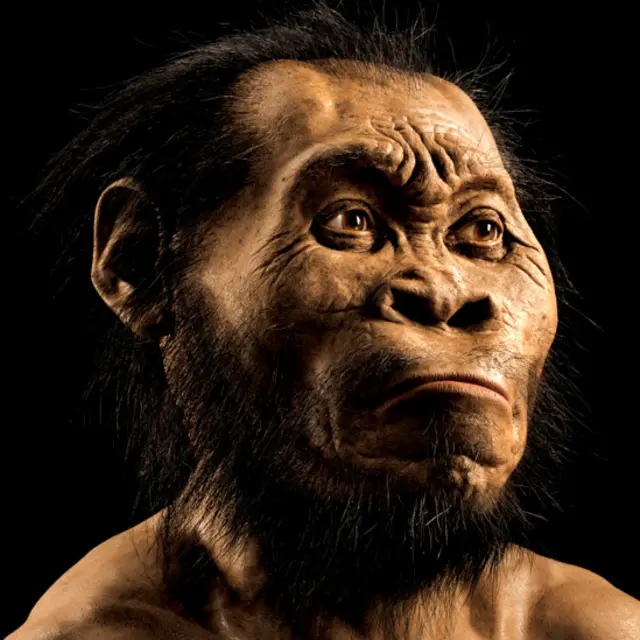 تصویر تخیلی انسان نالدی