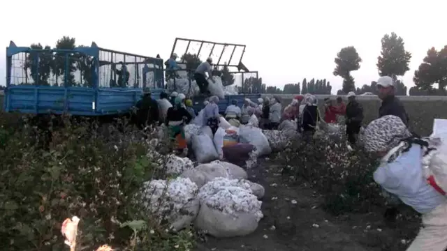 Узбекистан входить до п'ятірки найбільших виробників бавовни