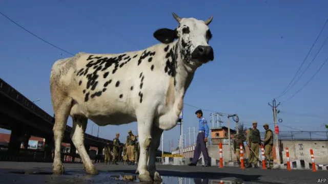 بھارت میں حالیہ دنوں میں گائے کے ذیبحے یا اس کی سمگلنگ کی محض افواہ پر کم سے کم تین مسلمانوں کو ہلاک کیا جا چکا ہے
