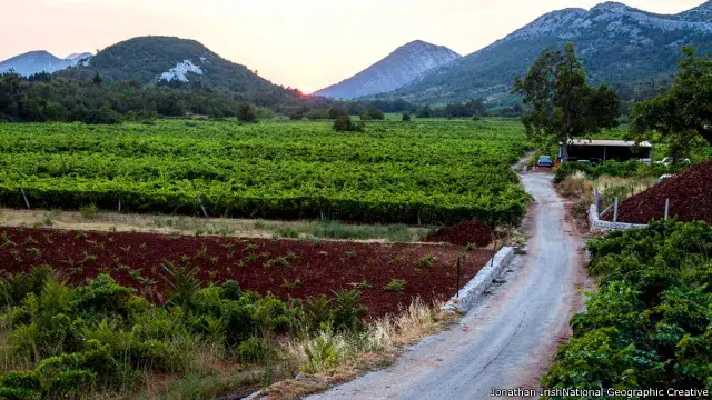 Lebih ke selatan, di Semenanjung Pelješac, kerajinan lain mengambil alih perhatian - penyulingan anggur - di tengah lanskap mencolok pegunungan rendah dan dataran hutan. Kebun anggur di pinggiran Orebić, sebuah kota pelabuhan tua di pantai selatan semenanjung itu, dikenal sebagai produsen anggur merah lokal, Dingač, anggur jempolan yang khas di kawasan penghasil anggur di Dalmasia selatan dan barat. Lebih dari tanahnya yang subur, di Orebić terdapat banyak jalur pendakian paling spektakuler. Gunung Sveti Ilija yang megah, yang tertinggi di semenanjung itu dengan tinggi mencapai 961m menawarkan pemandangan menakjubkan dari Laut Adriatik dan Pulau Korčula, di sebelah barat.
