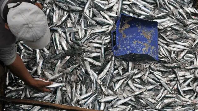 Menurut pemerintah, nelayan akan mendapat keuntungan yang lebih besar saat menggunakan elpiji untuk melaut daripada saat menggunakan solar