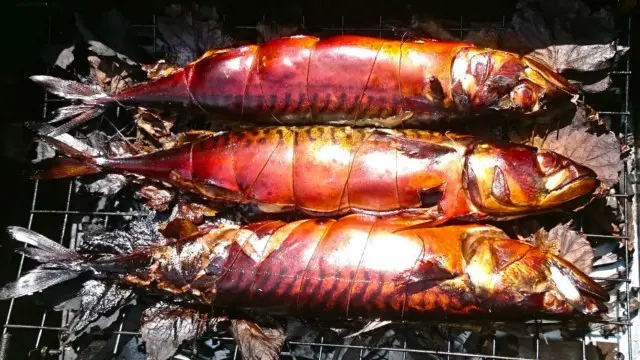 மீன்களில் இருக்கும் கொழுப்பு அமிலங்கள் மூளைக்கு நன்மை பயப்பதாக ஆய்வாளர்கள் கருத்து