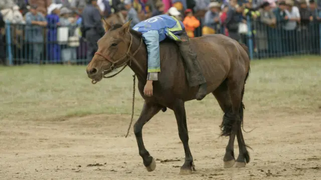 Un jinete exhausto en su caballo