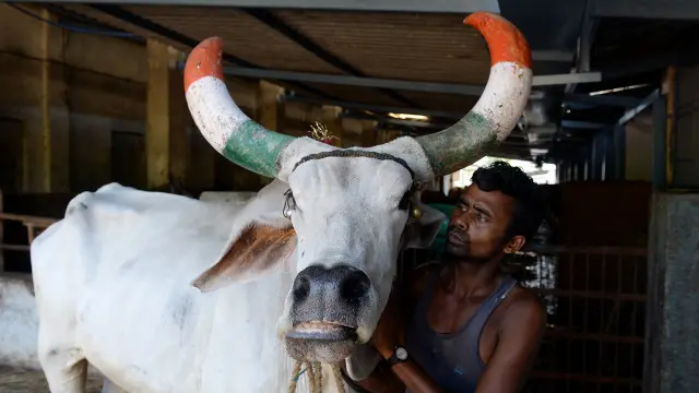 کورٹ کے اس فیصلے کے بعد اب مہاراشٹر میں گائے کا گوشت رکھنا اور کھانا جرم نہیں سمجھا جائے گا