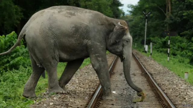 සීමා නොතකා ගමනේ 