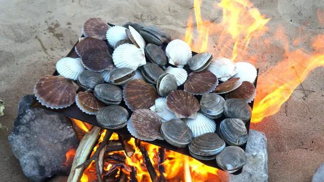 在元山市的海滩上现捕现烤的蛤蜊（Uri Tours提供图片）