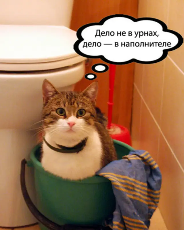 Барсик в туалете
