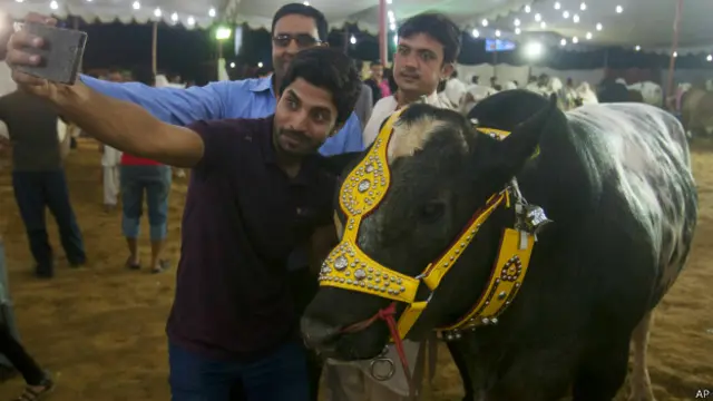 पाकिस्तान