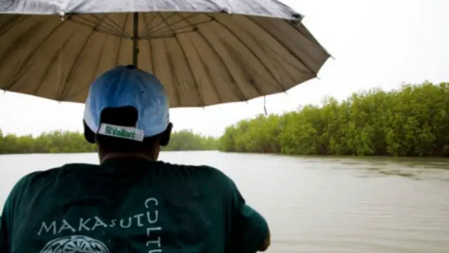 Гамбияда ҳамма ҳомилаларни ёғингарчилик мавсумида режалаштириш керакмикан? 