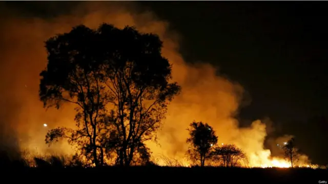 انڈونیشیا کے جنگلات میں لگنے والی آگ کے نتیجے میں ملک میں دھویں کی ایک چادر سی پھیل گئی ہے۔