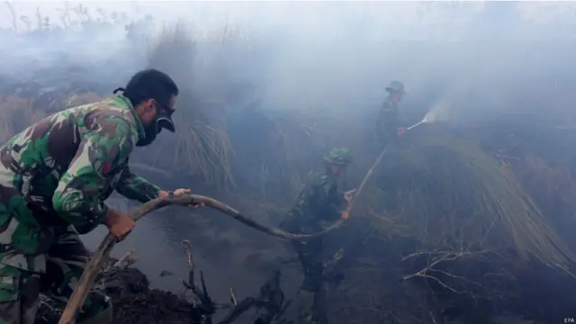  اور اس کے اثرات پڑوسی ممالک ملائیشیا اور سنگاپور میں بھی نظر آ رہے ہیں جبکہ آگ بجھانے والے عملے کے ارکان یہاں اپنے کام میں منہمک نظر آ رہے ہیں۔