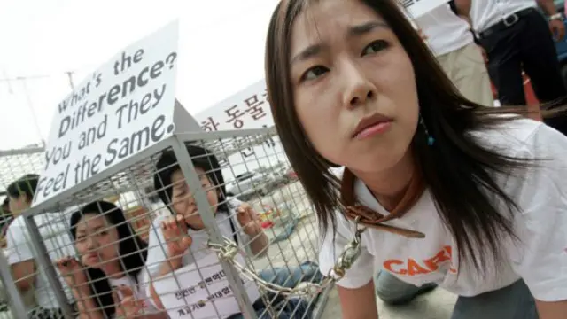 Поедание мяса собаки считается частью древнего ритуала, в ходе которого мальчик становится мужчиной