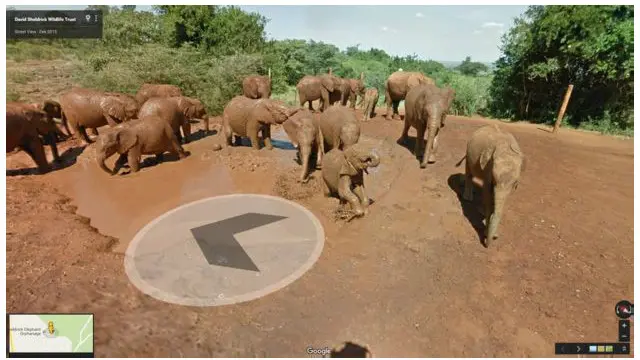 Taman Nasional Samburu