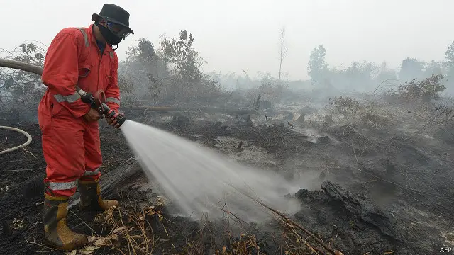 Masing-masing kelompok yang melakukan aktivitas pembukaan lahan akan mendapat persentase pemasukan tersendiri.