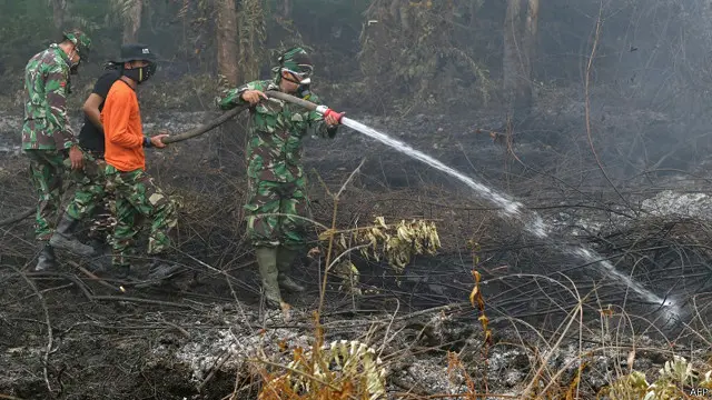 Pengawasan kebakaran hutan, menurut menteri kehutanan dan lingkungan hidup, tidak semudah yang dibayangkan.