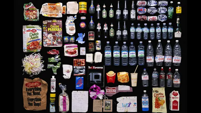 Що у смітнику знаменитостей (на цьому фото – Мадонни). Проект фотографів Бруно Мурона і Паскаля Ростейна порушує проблеми сміття, приватного життя та вибору споживача