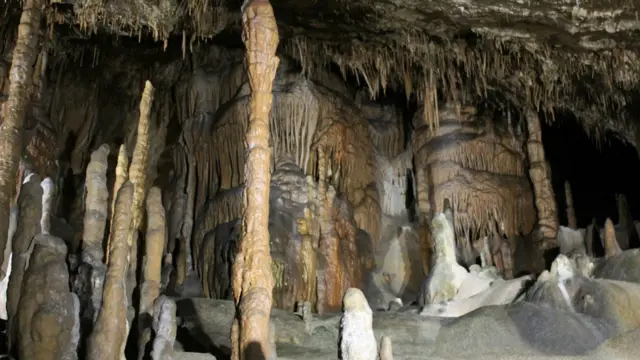 Postojna chỉ là một trong loạt 23 hang động ta có thể khám phá trong vùng núi đá vôi của Slovenia, nơi tạo nên miền tây nam có bề dày lịch sử của nước này, cũng là nơi có những điểm định cư thời tiền sử từ hơn 5.000 năm trước. Nơi đây, các con sông và hồ nước ngầm đã tạo nên các cảnh đẹp dưới lòng đất và thu hút hơn một triệu lượt du khách mỗi năm.