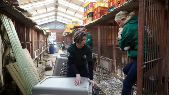 Segundo ativistas, muitos vendedoresgreenbets fora do arcães estão dispostos a mudargreenbets fora do arramo, se tiverem apoio financeiro