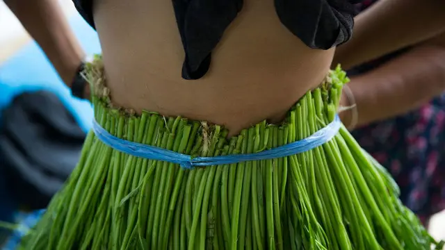 baju kangkung