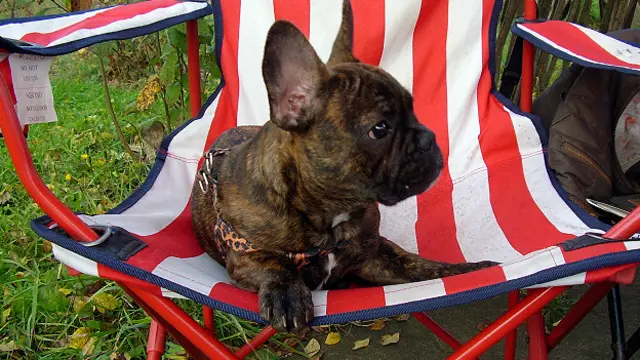 Андрей Змитревич