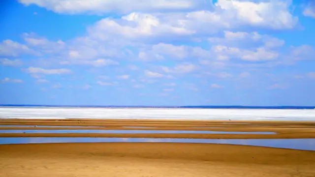 Александр Докучаев