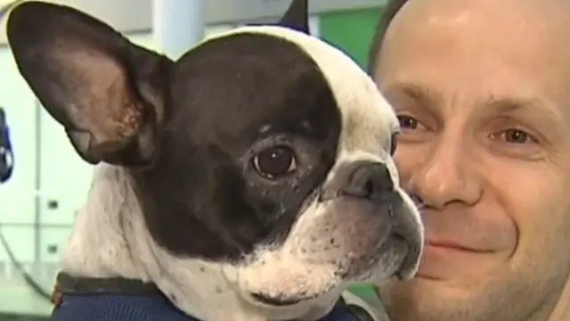 د الوتکې له الوت وروسته د تودوخي درجه ټیټیږي، چې له کبله یې د سپي ژوند له خطر سره مخامخ و.