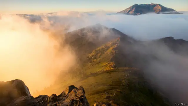 爆炸区域（图片来源：Eric Guth）