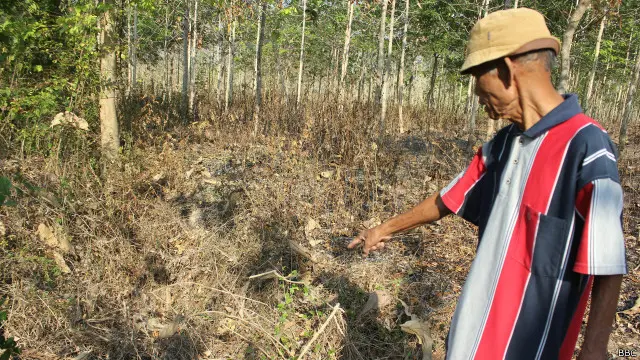 Radimin, warga sebuah desa di Kabupaten Pati, Jateng, menunjuk sebuah kuburan massal orang-orang yang dituduh PKI di sebuah hutan di kabupaten tersebut. Pemerintah dituntut mengungkap kebenaran penyebab pembunuhan massal itu.