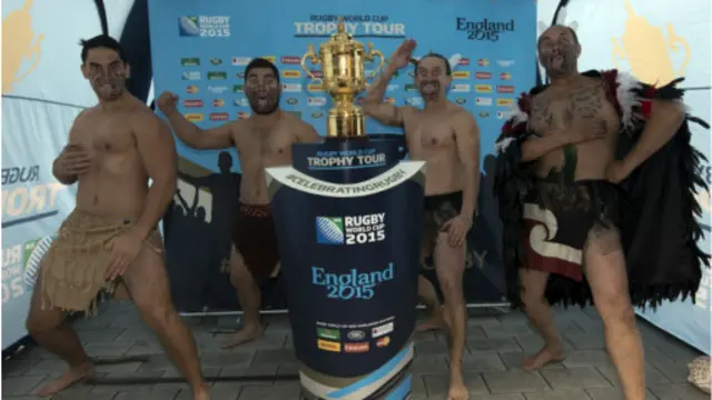 经过6周鏖战，本届世界杯的胜者将在10月31日在Twickenham举起冠军杯—韦伯·埃里斯杯（Webb Ellis Cup）。